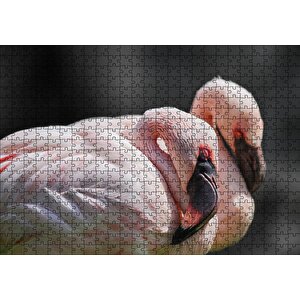 Uyuklayan Bir Çift Flamingo Puzzle Yapboz Mdf Ahşap 500 Parça
