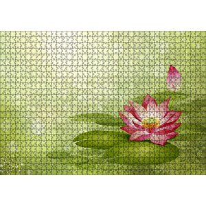 Lotus Çiçeği Ve Yeşil Zemin Puzzle Yapboz Mdf Ahşap 1000 Parça