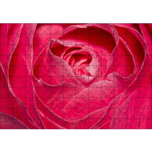Pembe Gül Yakın Çekim Puzzle Yapboz Mdf Ahşap 120 Parça