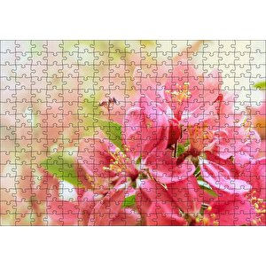 Pembe Elma Çiçeği Görseli Puzzle Yapboz Mdf Ahşap 255 Parça