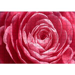 Pembe Gül Makro Puzzle Yapboz Mdf Ahşap 255 Parça