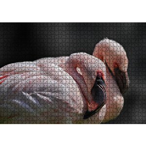 Uyuklayan Flamingolar Puzzle Yapboz Mdf Ahşap 1000 Parça