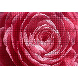 Pembe Gül Makro Puzzle Yapboz Mdf Ahşap 1000 Parça