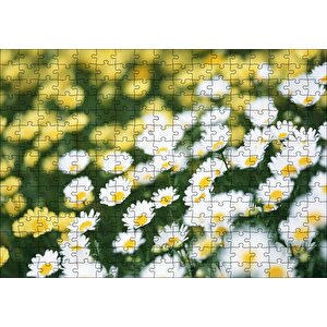 Beyaz Papatyalar Ve Arkada Flu Sarı Papatyalar Puzzle Yapboz Mdf Ahşap 255 Parça