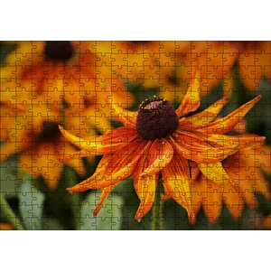 Cakapuzzle  Turuncu Yapraklı Çiçek Yakın Plan Puzzle Yapboz Mdf Ahşap