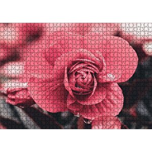 Kırmızı Çiçek Ve Damlalar Yakın Plan Puzzle Yapboz Mdf Ahşap 1000 Parça