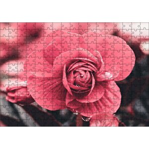 Kırmızı Çiçek Ve Damlalar Yakın Plan Puzzle Yapboz Mdf Ahşap 255 Parça