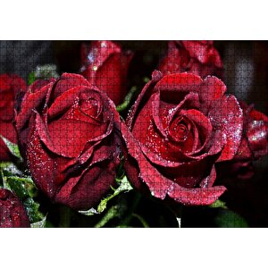 Kırmızı Güller Ve Çiy Damlaları Puzzle Yapboz Mdf Ahşap 1000 Parça