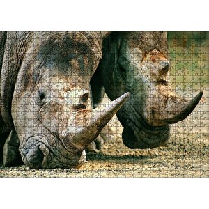 Efsanevi Gergedanlar Yakın Çekim Puzzle Yapboz Mdf Ahşap 500 Parça