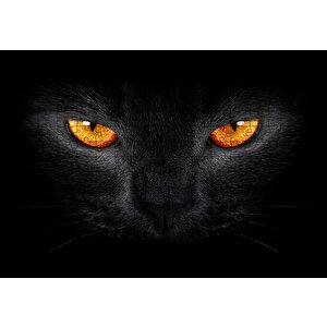 Kara Kedi Ve Sarı Gözleri Puzzle Yapboz Mdf Ahşap 255 Parça