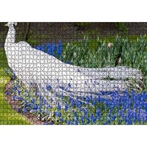 Cakapuzzle Beyaz Tavus Kuşu Görseli Puzzle Yapboz Mdf Ahşap