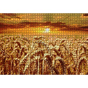 Eğilmiş Buğday Başakları Ve Gün Batımı Puzzle Yapboz Mdf Ahşap 1000 Parça