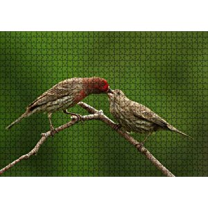 Dalda Dişisini Besleyen Saka Kuşu Puzzle Yapboz Mdf Ahşap 1000 Parça