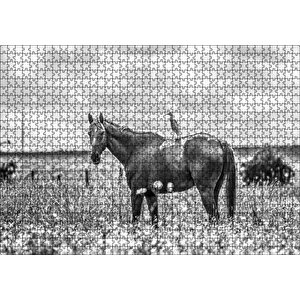 Çayırda Otlayan Aygır Ve Sırtındaki Kuş Puzzle Yapboz Mdf Ahşap 1000 Parça