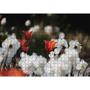 Beyaz Ve Kırmızı Gelincikler Flu Arka Plan Puzzle Yapboz Mdf Ahşap 500 Parça