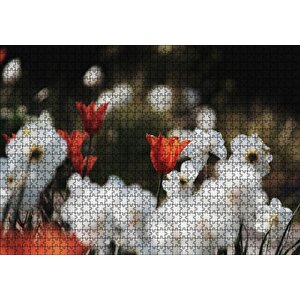 Beyaz Ve Kırmızı Gelincikler Flu Arka Plan Puzzle Yapboz Mdf Ahşap 1000 Parça