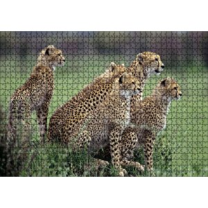 Yavrularına Eğitim Veren Anne Çita Puzzle Yapboz Mdf Ahşap 1000 Parça