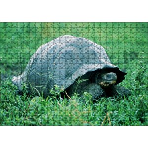 Cakapuzzle Yeşil Çayırdaki Kaplumbağa Puzzle Yapboz Mdf Ahşap