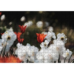 Beyaz Ve Kırmızı Gelincikler Flu Arka Plan Puzzle Yapboz Mdf Ahşap 255 Parça