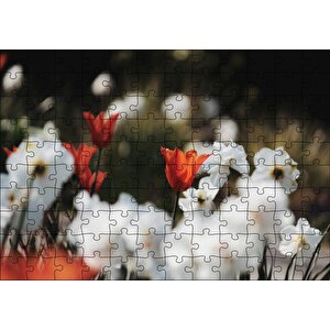Cakapuzzle Beyaz Ve Kırmızı Gelincikler Flu Arka Plan Puzzle Yapboz Mdf Ahşap