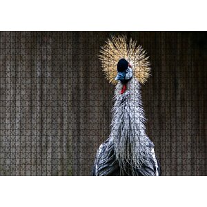 Gri Taçlı Turna Kuşu Yakın Çekim Puzzle Yapboz Mdf Ahşap 1000 Parça