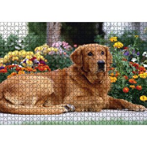 Kahverengi Golden Rertriever Ve Çiçekler Puzzle Yapboz Mdf Ahşap 1000 Parça
