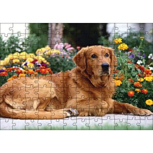 Kahverengi Golden Rertriever Ve Çiçekler Puzzle Yapboz Mdf Ahşap 120 Parça
