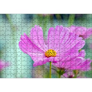 Mor Kosmeya Çiçekler Görseli Puzzle Yapboz Mdf Ahşap 255 Parça