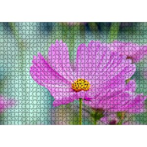 Mor Kosmeya Çiçekler Görseli Puzzle Yapboz Mdf Ahşap 1000 Parça