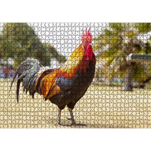 Heybetli Horoz Flu Çiftlik Arkaplan Puzzle Yapboz Mdf Ahşap 1000 Parça