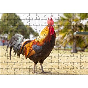 Heybetli Horoz Flu Çiftlik Arkaplan Puzzle Yapboz Mdf Ahşap 120 Parça