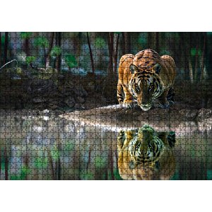 Göldeki Kaplan Yansıması Görseli Puzzle Yapboz Mdf Ahşap 1000 Parça