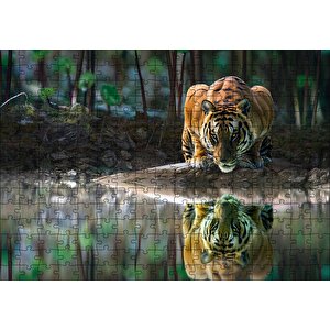 Göldeki Kaplan Yansıması Görseli Puzzle Yapboz Mdf Ahşap 255 Parça