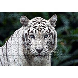 Beyaz Kaplan Hayvanat Bahçesinde Puzzle Yapboz Mdf Ahşap 255 Parça
