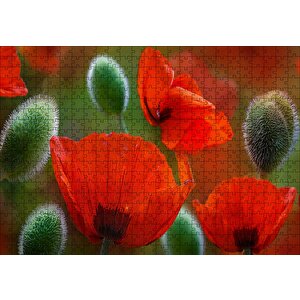 Kırmızı Gelincikler Yakın Çekim Puzzle Yapboz Mdf Ahşap 500 Parça