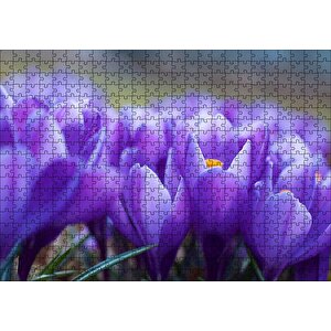 Eflatun Renkli Çiçekler Yakın Çekim Puzzle Yapboz Mdf Ahşap 500 Parça