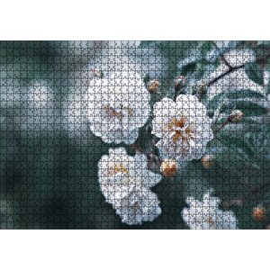 Dalda Beyaz Çiçekler Flu Arka Plan Puzzle Yapboz Mdf Ahşap 1000 Parça