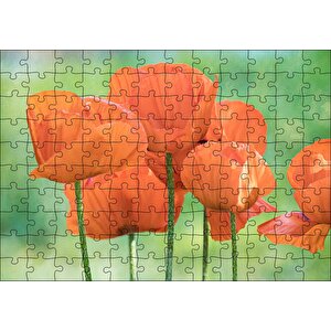 Turuncu Gelincikler Puzzle Yapboz Mdf Ahşap 120 Parça
