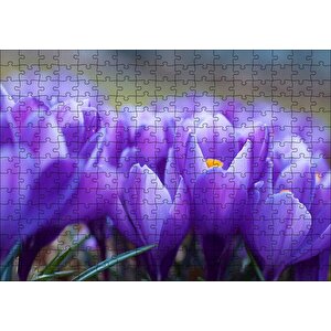 Eflatun Renkli Çiçekler Yakın Çekim Puzzle Yapboz Mdf Ahşap 255 Parça