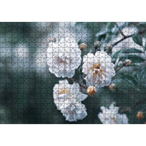 Dalda Beyaz Çiçekler Flu Arka Plan Puzzle Yapboz Mdf Ahşap 500 Parça