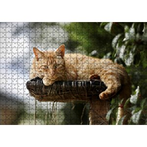 Kütüğün Üzerinde Miskinlik Eden Sarı Kedi Puzzle Yapboz Mdf Ahşap 500 Parça