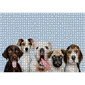 Sevimli 5 Köpek Portre Gökyüzü Arka Plan Puzzle Yapboz Mdf Ahşap 1000 Parça