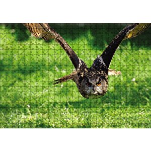 Doğada Üçan Baykuş Puzzle Yapboz Mdf Ahşap 500 Parça