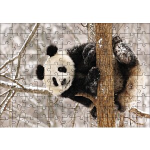 Ağaç Dalında Panda Puzzle Yapboz Mdf Ahşap 120 Parça