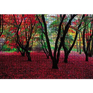 Büyülü Sonbahar Ormanı Puzzle Yapboz Mdf Ahşap 1000 Parça