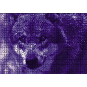 Mavi Kurt Fantastik Puzzle Yapboz Mdf Ahşap 1000 Parça