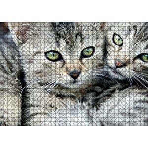 Tekir Yavru Kediler Puzzle Yapboz Mdf Ahşap 1000 Parça