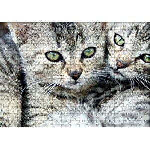 Tekir Yavru Kediler Puzzle Yapboz Mdf Ahşap 255 Parça