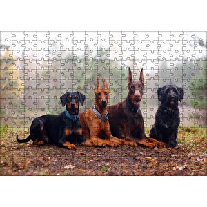 Sonbahar Yaprakları Üzerindeki 4 Köpek Puzzle Yapboz Mdf Ahşap 255 Parça