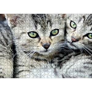 Tekir Yavru Kediler Puzzle Yapboz Mdf Ahşap 500 Parça